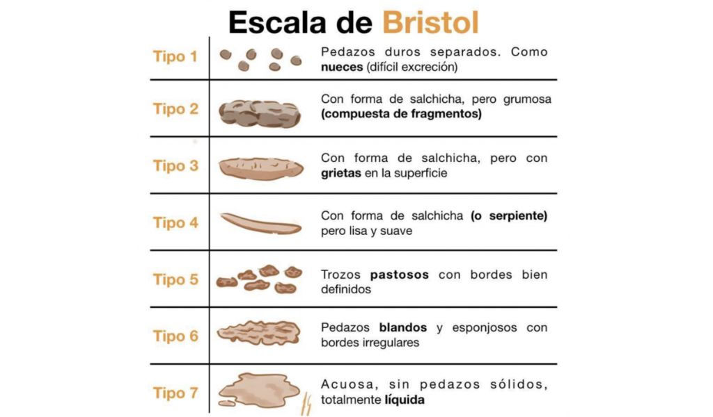 Escala de Bristol.